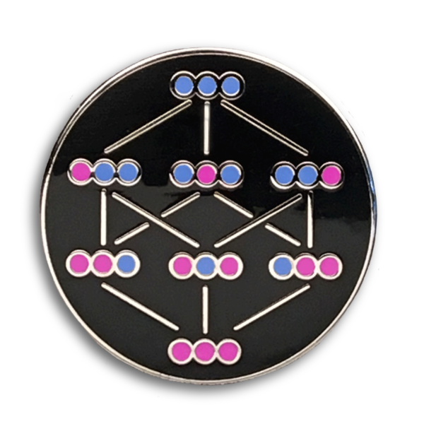 Pin face showing Hasse Diagram with blue and pink dots for the ones and zeros on black background