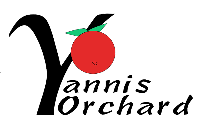 Yannis Orchard logo with apple hanging from letter Y as tree